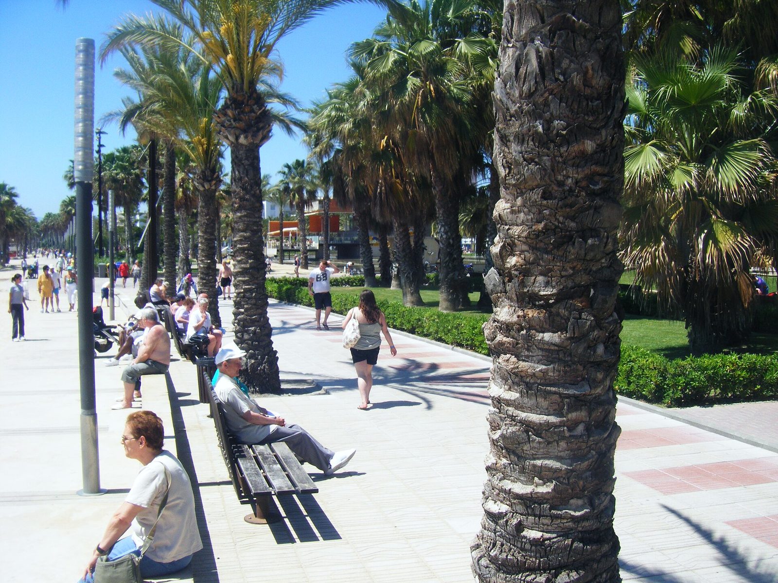 The promenade alongside Salou beach, a short hop from PortAventura (surrounding area, not the venue)
