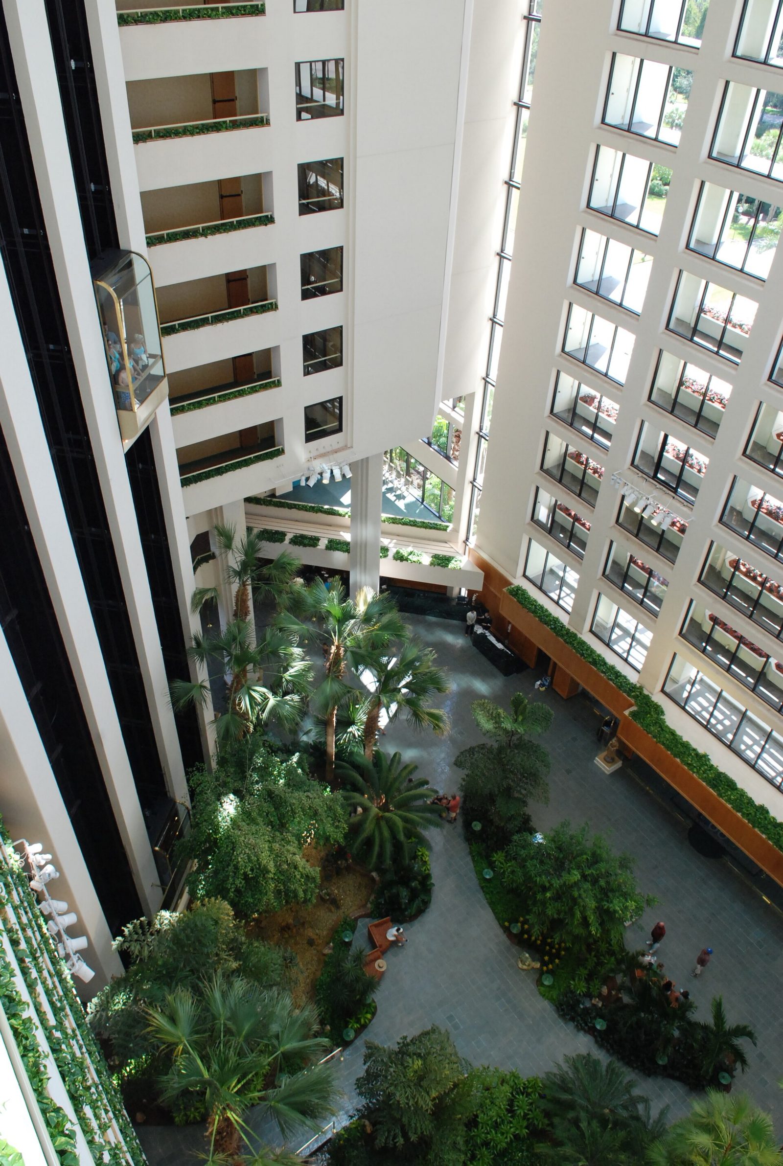 Looking down into the Hyatt Regency Grand Cypress atrium, with tiered balconies and palm-planted gardens below